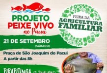 Projeto Peixe Vivo comercializará duas toneladas de pescado em São Joaquim do Pacuí