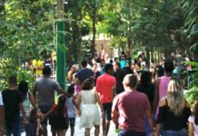 Cerca de 6 mil pessoas visitaram Bioparque da Amazônia com entrada gratuita nesta terça-feira (05/11)