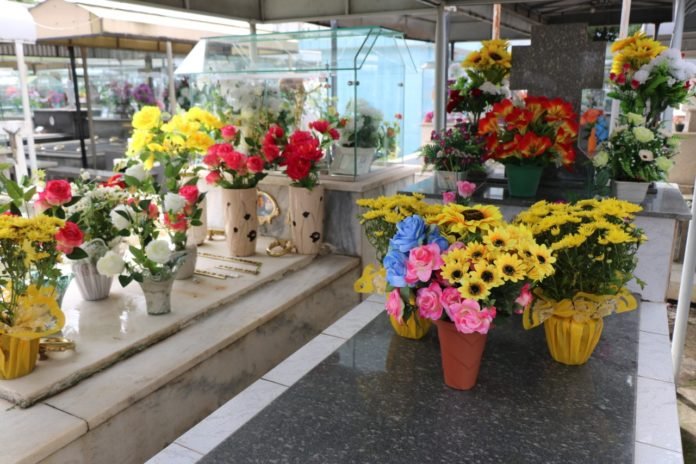 416c0d3c5359daff2ef24e6d633d0395