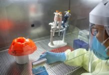 Covid-19: estudo científico do Coesp aponta estabilização da taxa de transmissão do vírus no Amapá