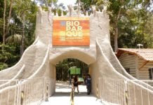Bioparque da Amazônia abrirá com protocolo de visitação nesta sexta-feira, 24