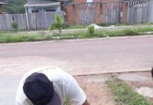 Departamento de Vigilância Ambiental inicia vacinação antirrábica na capital