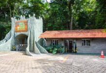 Quarta-feira é dia de meia-entrada no Bioparque da Amazônia
