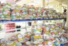 ‘Esses alimentos são a minha segurança e dos meus filhos’, diz mãe de estudante ao receber o Kit Merenda em Casa