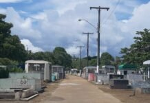 Dia de Finados: cemitérios públicos são liberados para visitações e homenagens