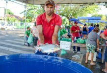 Em Macapá, Programa Peixe na Mesa oferta 4 toneladas de pescado durante a Semana Santa