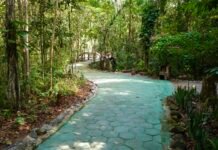 Quarta é dia de meia entrada no Bioparque da Amazônia para todos os visitantes