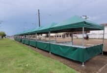 Governo inicia seleção de empreendedores para ensaios técnicos e desfile no Sambódromo